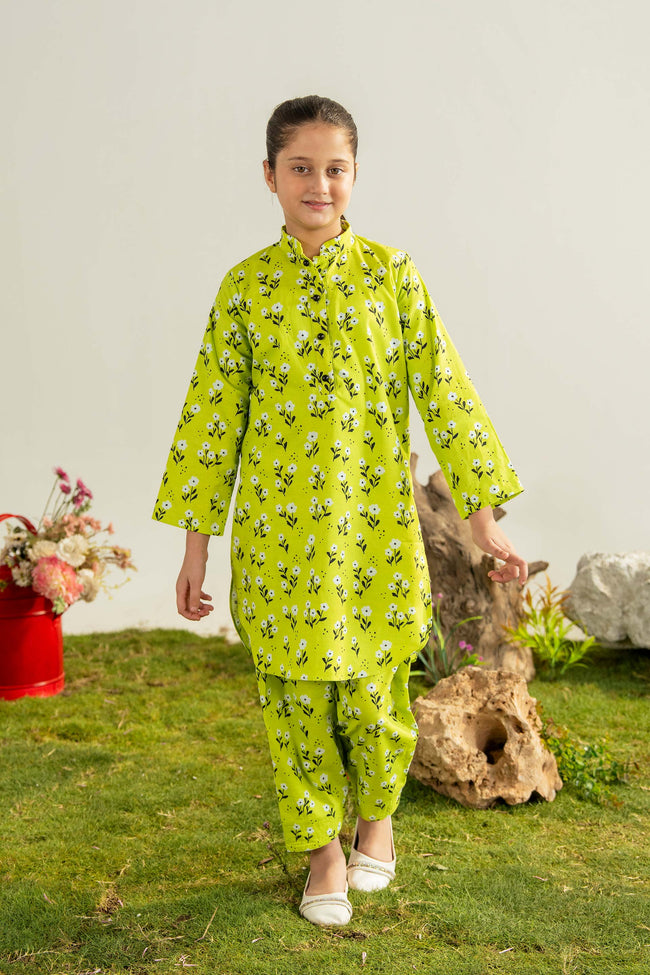 2PC-Frosted Fern Hover Image