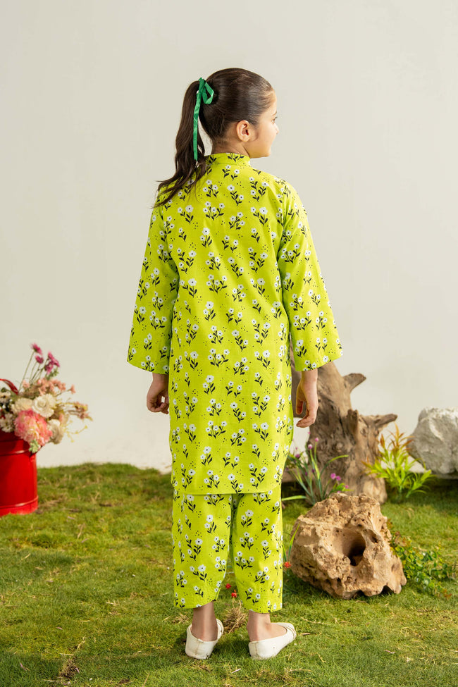 2PC-Frosted Fern Main Image